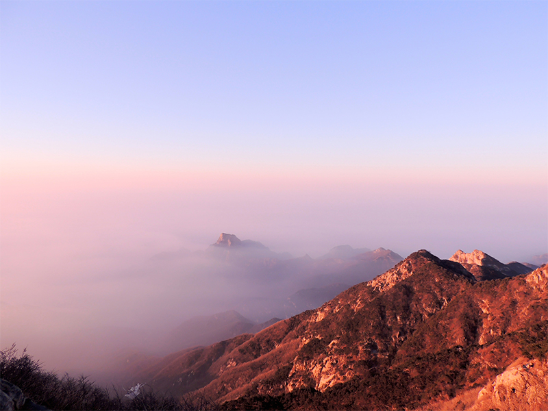 未標題-11 未標題-11