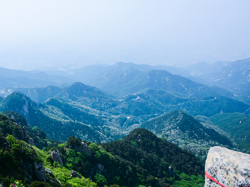 未標題-1 未標題-1