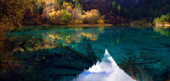 九寨溝旅游一日游，看完這篇就夠了